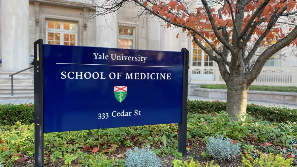 Foto 3 do programa Explore Medicine at Yale