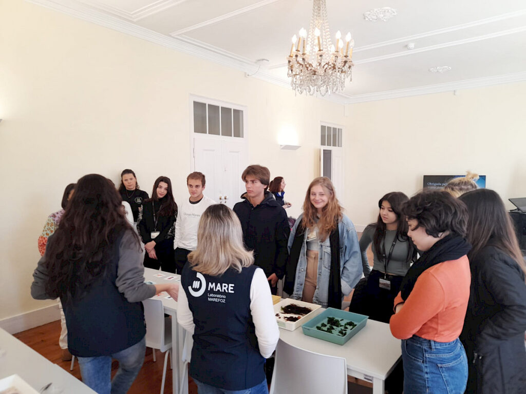 Foto 3 do programa Universidade de Inverno – Coimbra